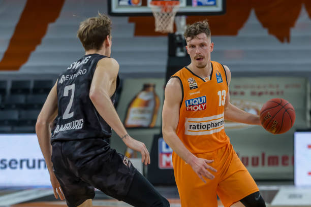 年轻的森林 年轻的森林