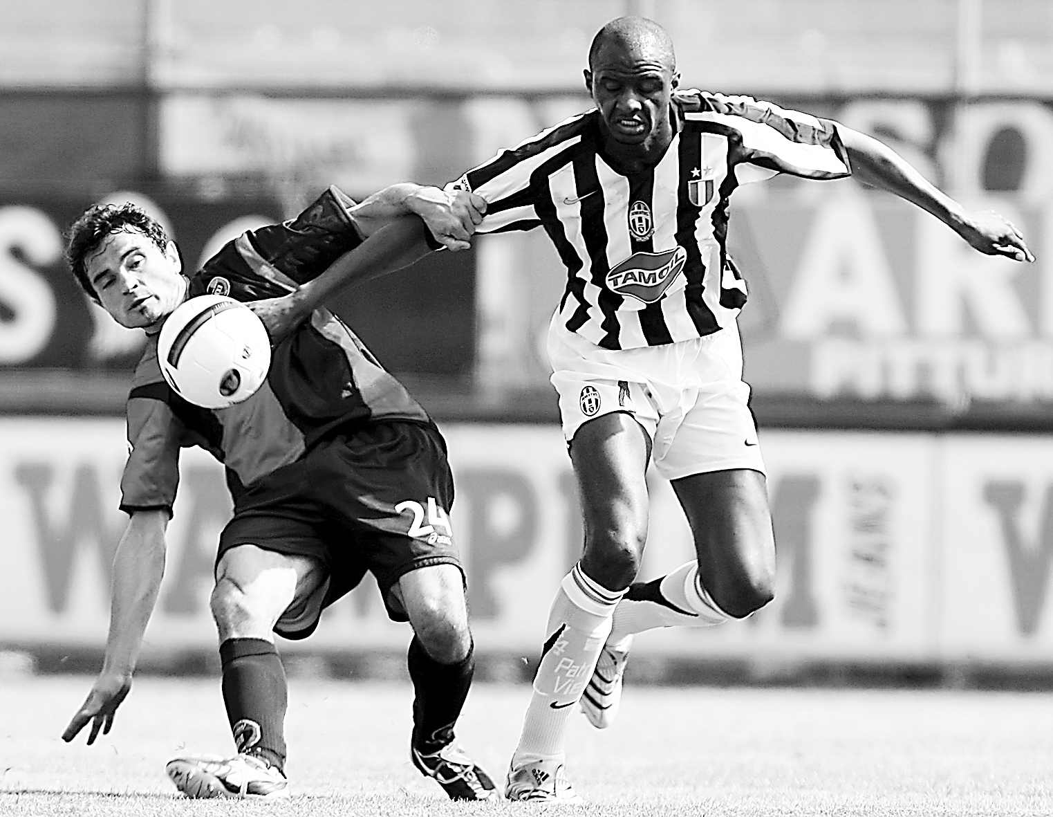 续承办更多 续承办更多